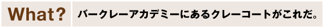 【What?】バークレーアカデミーにあるクレーコートがこれだ。